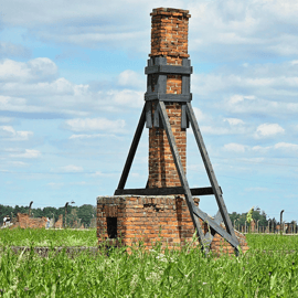 Cracóvia: Excursão Auschwitz-Birkenau limitada a 15 visitantes