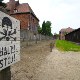 Cracovia: Escursione di un giorno ad Auschwitz-Birkenau con tour leader