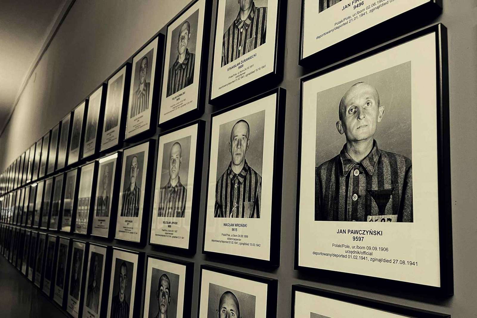 Da Cracovia: autista privato per Auschwitz-Birkenau