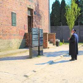 Da Cracovia: Tour per piccoli gruppi di Auschwitz Birkenau con servizio di prelievo
