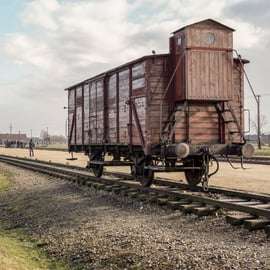 Tour guidato di Auschwitz-Birkenau e trasferimento da Cracovia