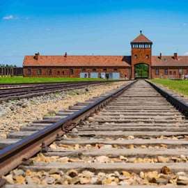 Desde Cracovia: Excursión Auschwitz-Birkenau con transporte