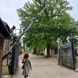 Desde Cracovia: visita guiada a Auschwitz-Birkenau
