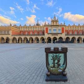 Cracovia: Tour a piedi della città vecchia e del castello di Wawel in inglese