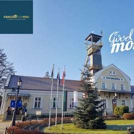 Da Cracovia: tour guidato alla miniera di sale di Wieliczka con prelievo in hotel