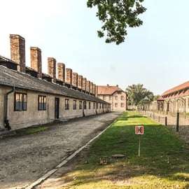 De Cracóvia: Visita guiada a Auschwitz, Birkenau e Mina de Sal