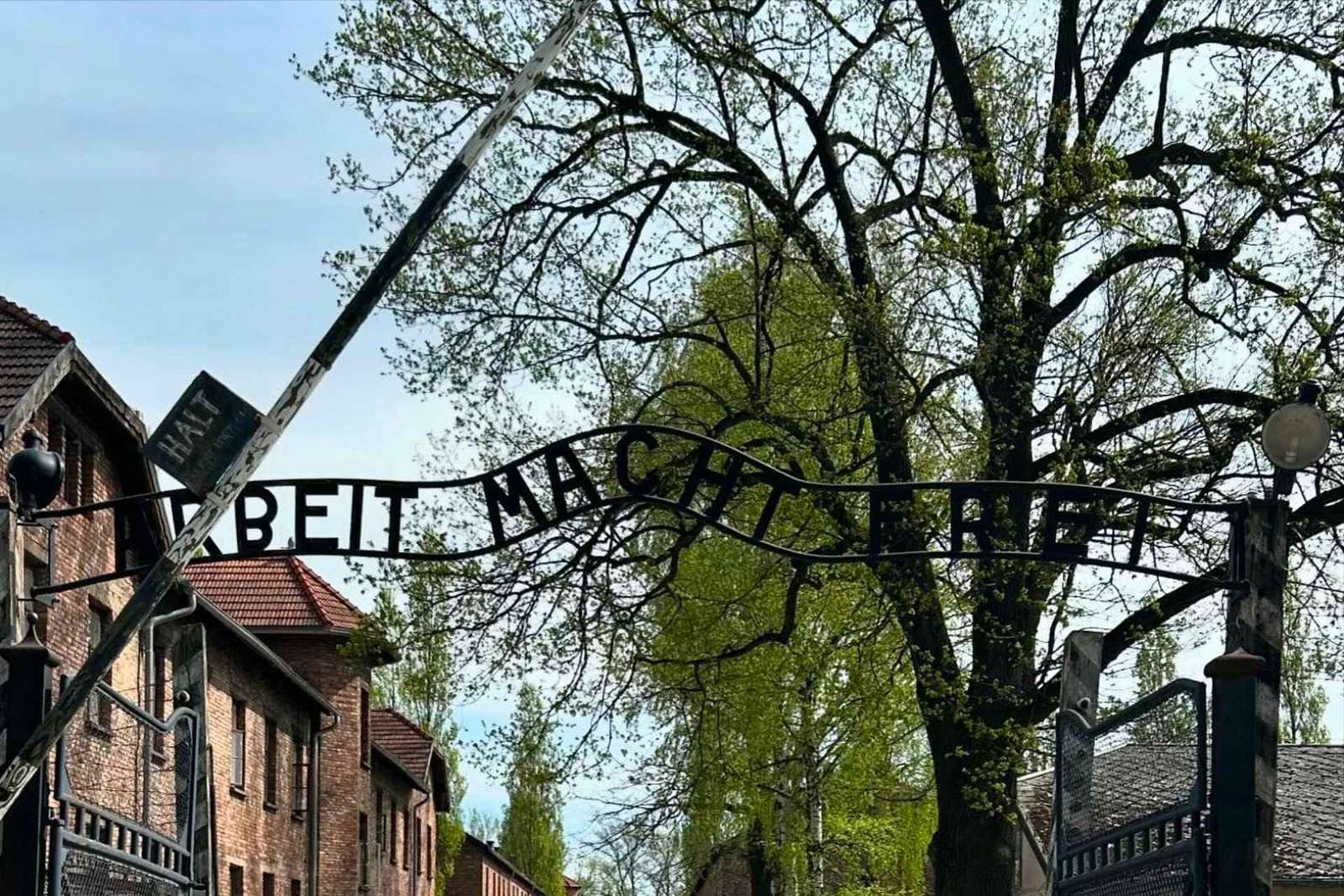 De Cracóvia: Visita a Auschwitz-Birkenau e à mina de sal de Wieliczka