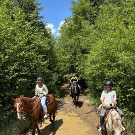 Cracovia: excursión de un día a Zakopane con paseo a caballo y baños termales
