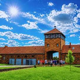 Cracovia: Tour guidato di Auschwitz-Birkenau con trasporto