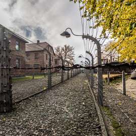 Cracovia: Auschwitz-Birkenau y Mina de Sal Visita guiada de día completo