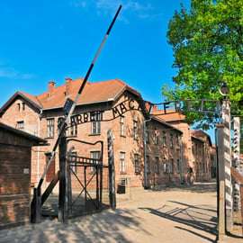 Cracóvia: Visita guiada a Auschwitz com serviço de busca e almoço opcional