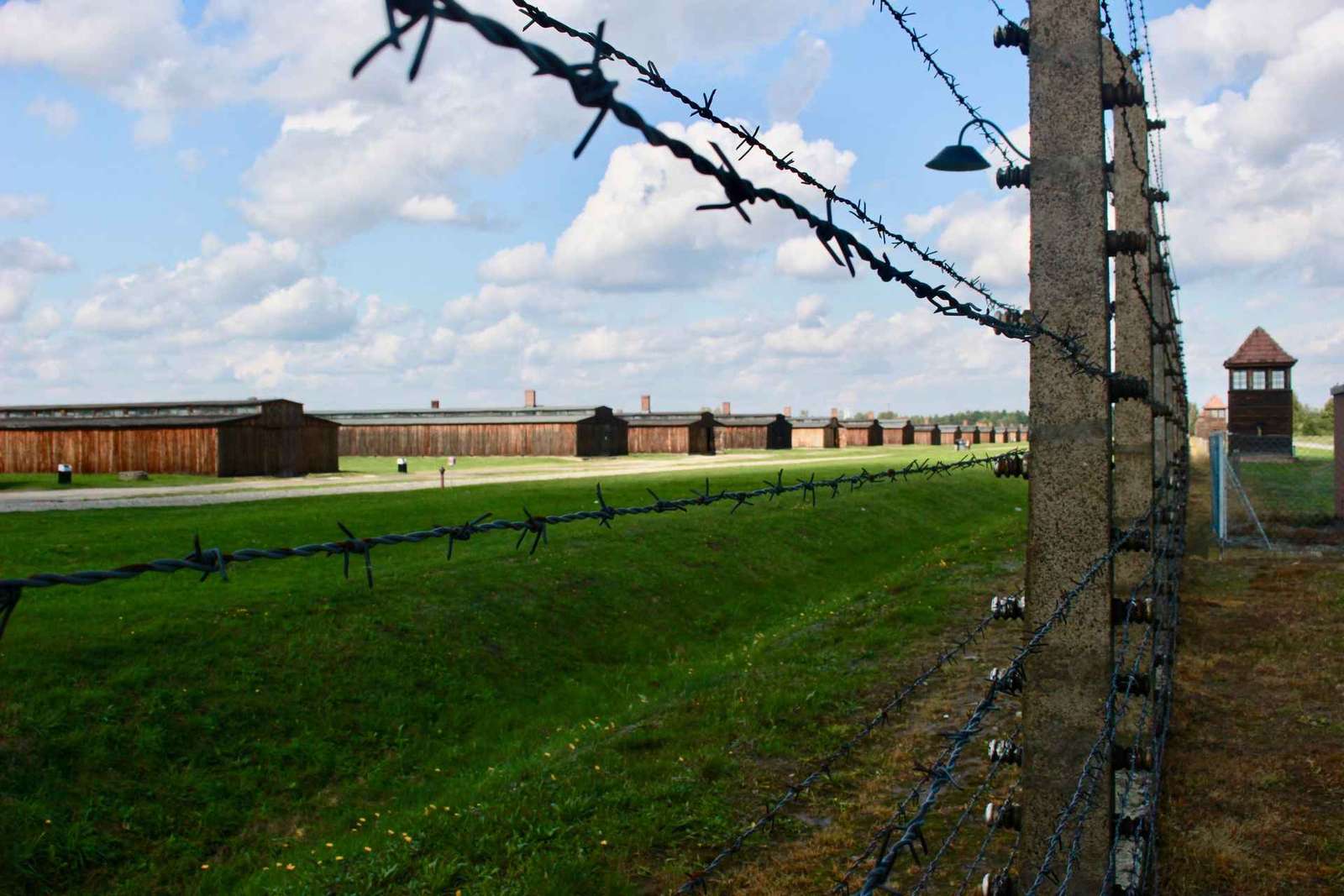 Auschwitz-Birkenau: Visita guiada - Bilhete + Transporte