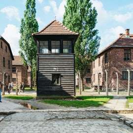 De Cracóvia: Auschwitz-Birkenau - Visita guiada e opções de embarque