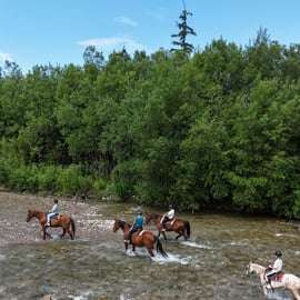 Cracovia: excursión de un día a Zakopane con paseo a caballo y baños termales