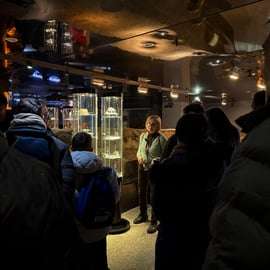 Cracóvia: Visita guiada ao Museu Subterrâneo Rynek