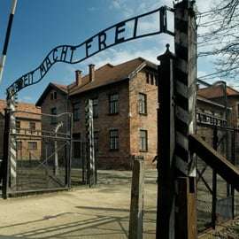 Cracovia: visita guidata al Memoriale di Auschwitz-Birkenau con servizio di prelievo