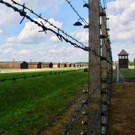 Auschwitz-Birkenau: Visita guiada - Bilhete + Transporte