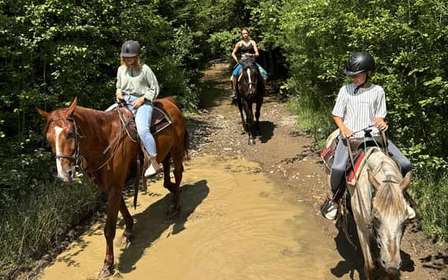 Cracovia: excursión de un día a Zakopane con paseo a caballo y baños termales