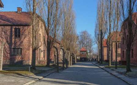 Cracovia: Auschwitz-Birkenau Ticket de entrada y traslado