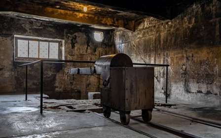 Desde Cracovia: tour de día completo de Auschwitz-Birkenau