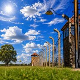 Da Cracovia: Tour di Auschwitz-Birkenau con trasporto di un giorno