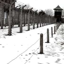 Da Cracovia: autista privato per Auschwitz-Birkenau