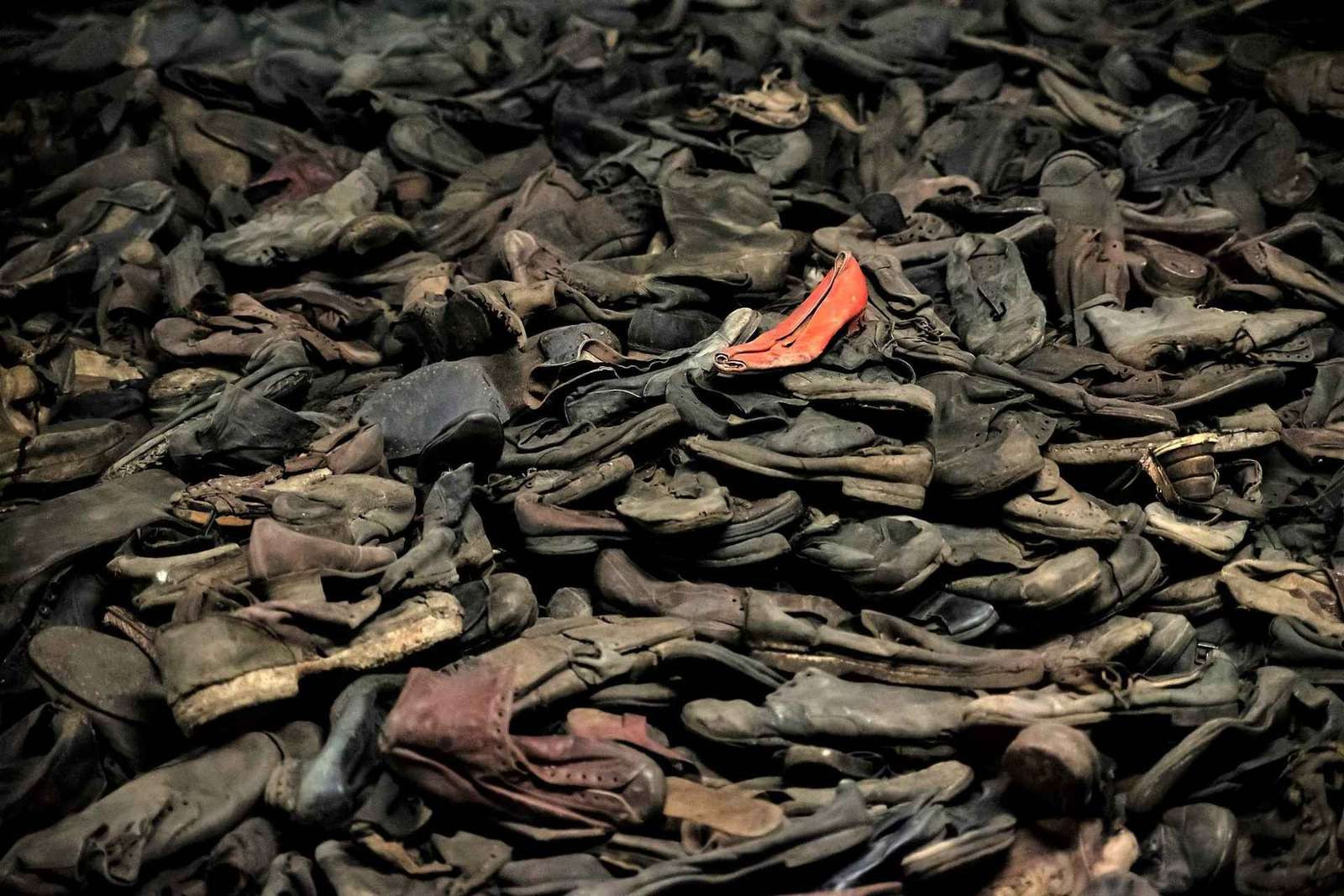 Desde Cracovia: Auschwitz Birkenau tour en grupo reducido con servicio de recogida