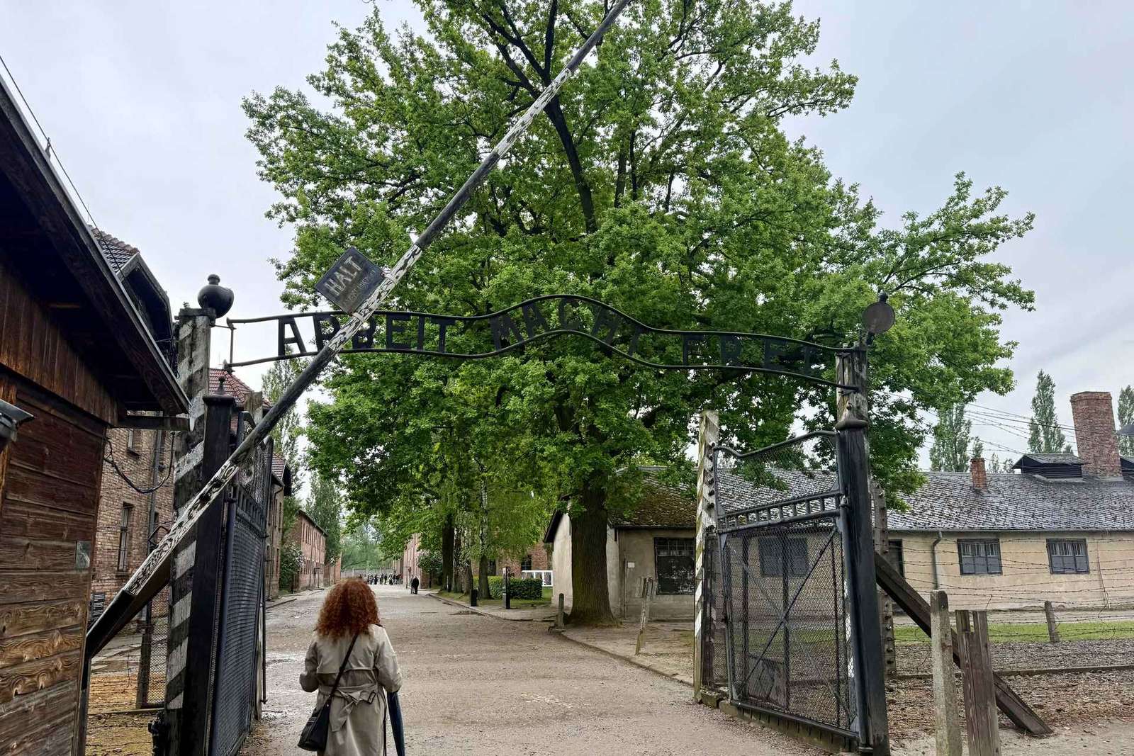 Desde Cracovia: visita guiada a Auschwitz-Birkenau