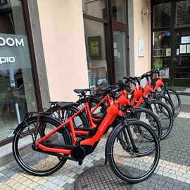 Tour em pequenos grupos de 3 horas com a Bosch E-Bike - Bicicletas novas!