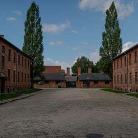 Cracovia: visita guidata al Memoriale di Auschwitz-Birkenau con servizio di prelievo
