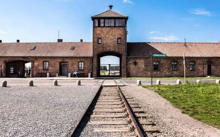 Auschwitz-Birkenau y Mina de Sal de Wieliczka: Visita de un día y comida