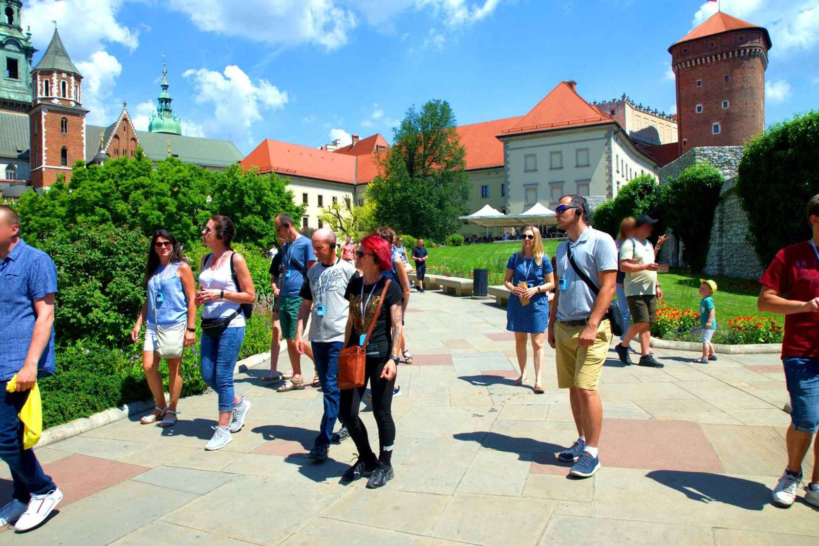 Cracóvia: Visita guiada ao Castelo de Wawel com ingressos de entrada