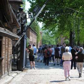 Da Cracovia: Tour guidato e ritiro di Auschwitz-Birkenau