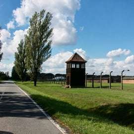 Auschwitz-Birkenau: Visita guiada - Bilhete + Transporte