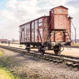 Cracóvia: Excursão guiada de 1 dia a Auschwitz-Birkenau e Mina de Sal