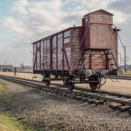 Da Cracovia: Tour guidato di Auschwitz-Birkenau di un giorno intero