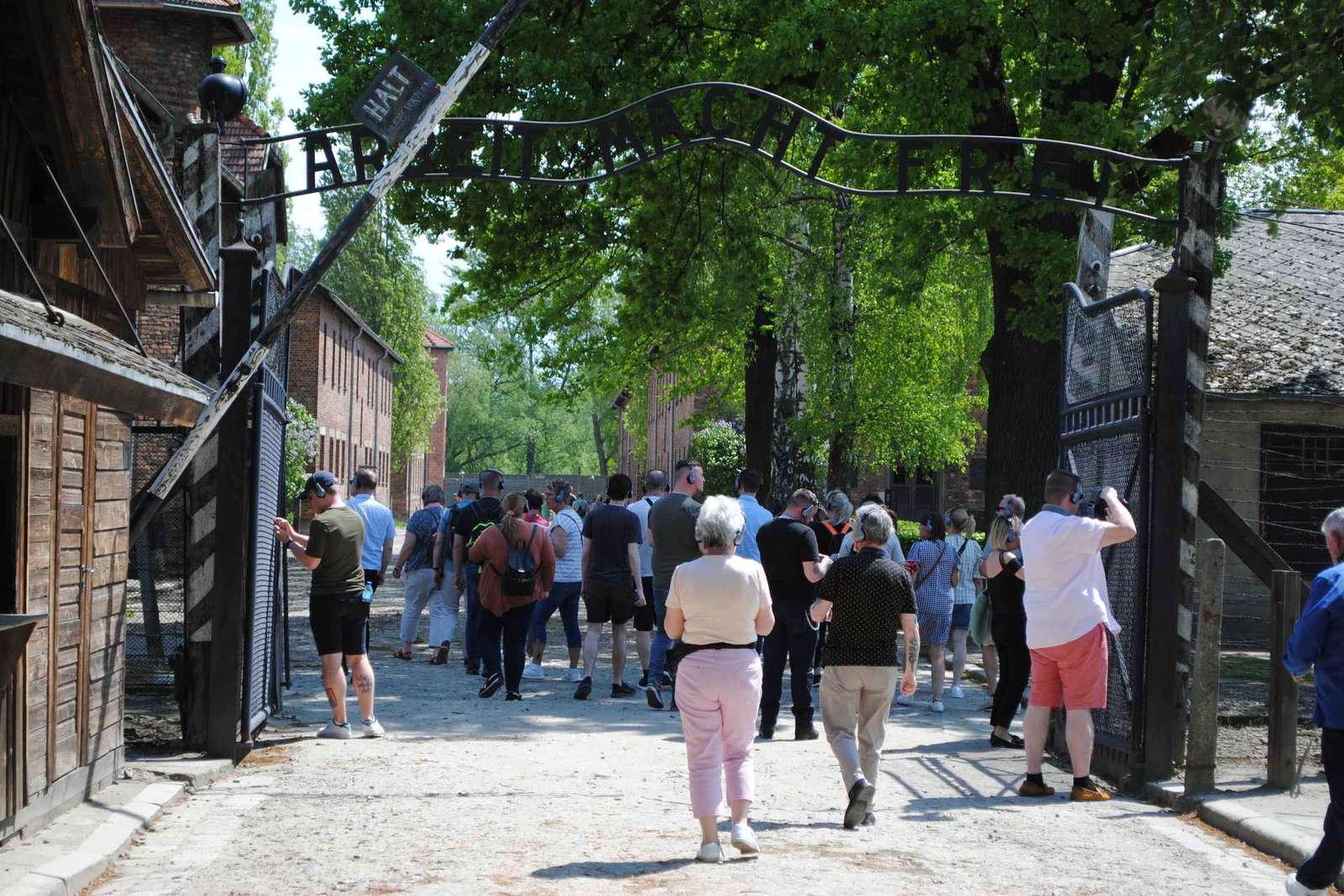 Da Cracovia: Tour guidato e ritiro di Auschwitz-Birkenau