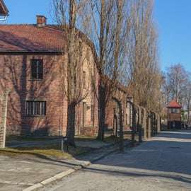 Cracóvia: Ingresso e traslado para Auschwitz-Birkenau
