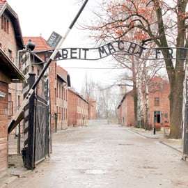 Cracóvia: Visita guiada a Auschwitz-Birkenau e mina de sal