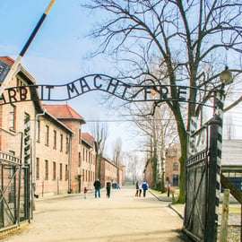 Cracóvia: Excursão guiada de 1 dia a Auschwitz-Birkenau e Mina de Sal