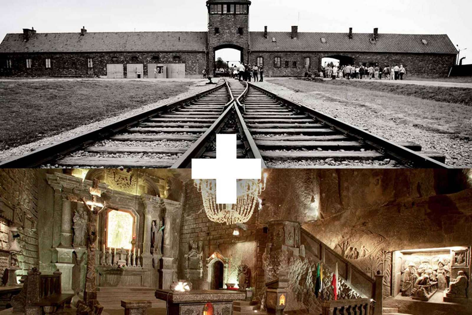 Cracovia: Auschwitz-Birkenau y Mina de Sal Visita guiada de día completo
