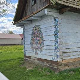 De Cracóvia: Visita de um dia à aldeia de Zalipie