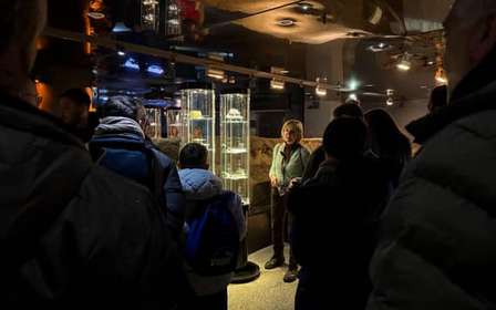 Cracovia: Visita guiada al Museo Subterráneo Rynek