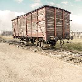 Cracóvia: Visita guiada a Auschwitz-Birkenau e mina de sal