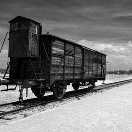 Excursão Guiada Auschwitz-Birkenau Saindo de Cracóvia e Busca no Hotel
